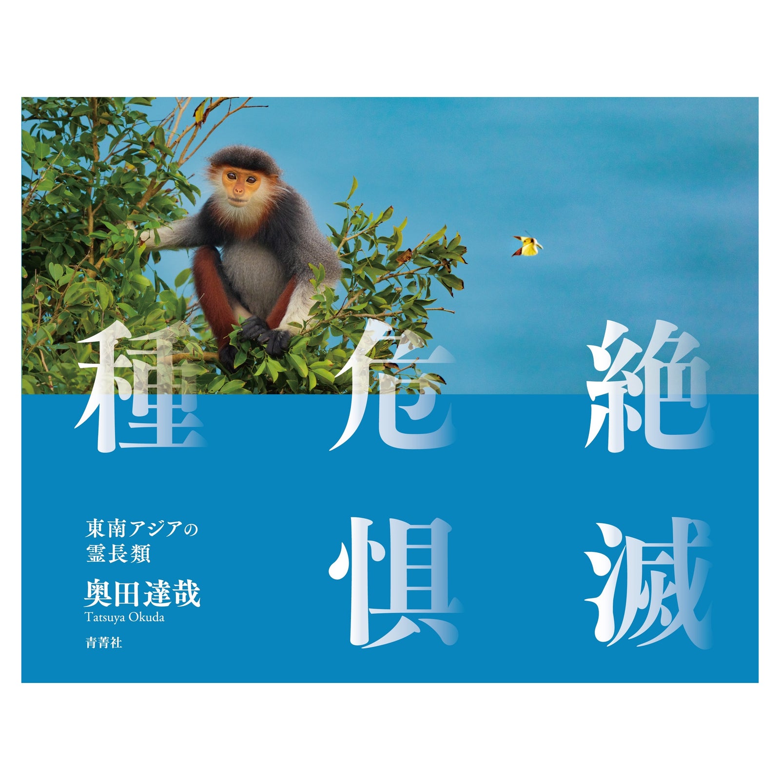 写真集『絶滅危惧種 東南アジアの霊長類』奥田達哉（サイン入り